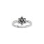 Picture of 14K Gold Star of David Ring