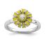 Picture of Silver Ring Daisy April Flower